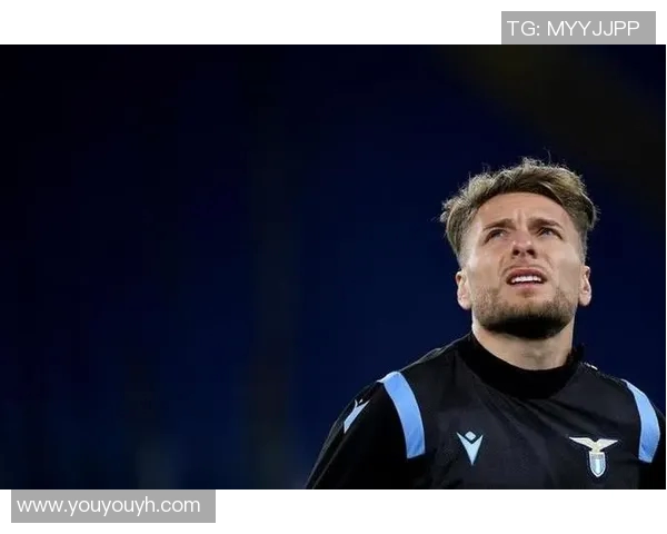 莫比莱涉嫌违法行为被警方调查，引发公众关注